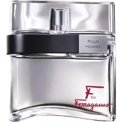 F by Ferragamo pour Homme